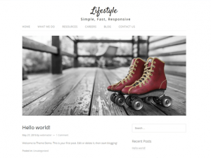 FREE UNIQUE WORD PRESS THEMES www.giftcollins.com