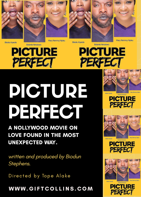 MOVIE REVIEW: DID THE MOVIE PICTURE PERFECT GIVE THE PERFECT PICTURE?